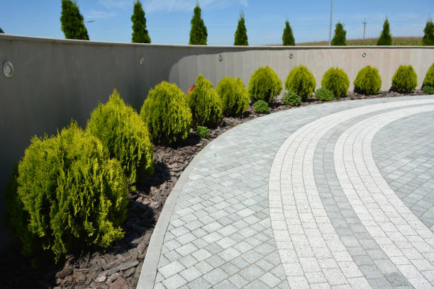 Best Driveway Repair Near Me  in Calico Rock, AR